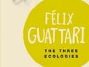 The Three Ecologies